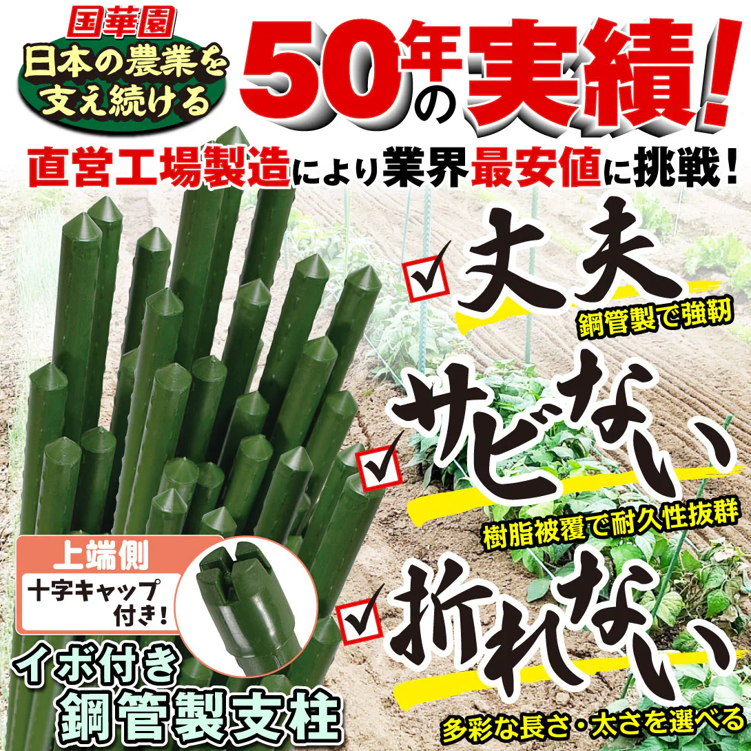 国華園 イボ付鋼管製支柱スーパー 直径8mm・長さ90cm 50本１組 グリーン 園芸支柱 家庭菜園 イボ竹