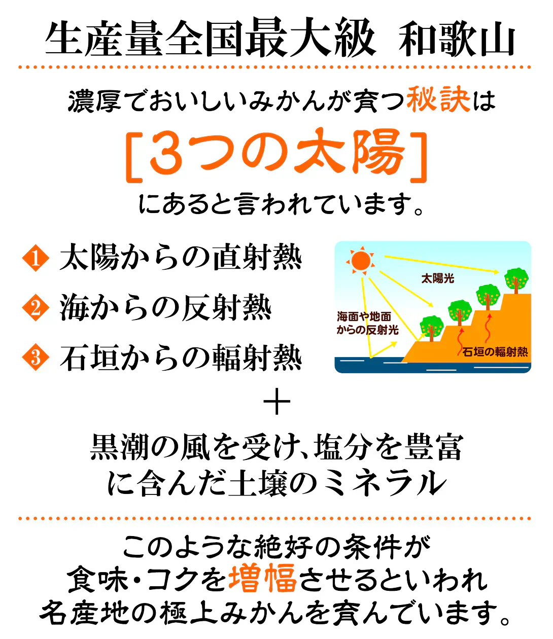 早食べみかん　和歌山産　5kg　ご家庭用 極早生（発送予定：9月下旬より）