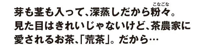 【2個セット】日本橋いなば園 静岡深蒸し茶 荒茶づくり 100g ネコポス メール便送料無料