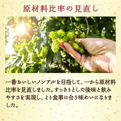 キリン 零ICHI ゼロイチ 500ml×2ケース/48本