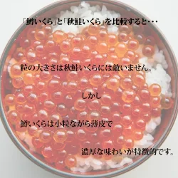 鱒いくら醤油漬け500g/小粒だけど旨みはたっぷり/イクラ/数量限定/鱒/お歳暮/冬/ギフト/