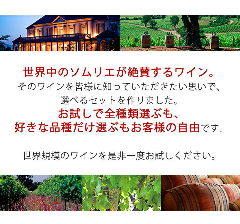 ワイン ワインセット  【送料無料】よりどり 選べる コノスル ヴァラエタル シリーズ 10本  ワインセット【北海道・東北・九州・四国・沖縄県は必ず送料が掛かります】
