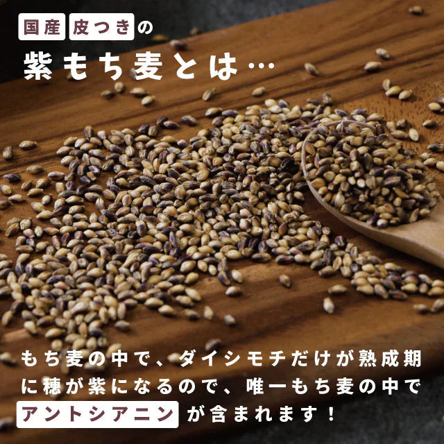 国産 皮つき 紫 もち麦 プチコさん 9kg（900g10袋） ダイシモチ アントシアニン 腸内環境 食物繊維