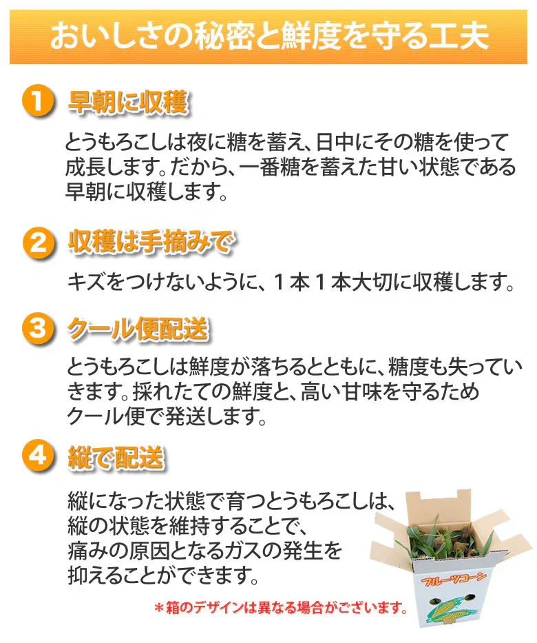 とうもろこし ピュアホワイト 送料無料 約3kg 8～12本入り 九州産 白いとうもろこし 極甘フルーツコーン スイートコーン 雪の妖精