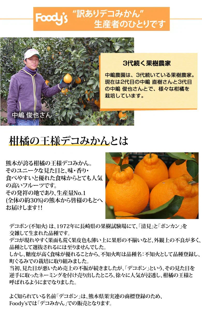 デコポン 同品種 訳ありデコみかん 1.5kg 送料無料 熊本県産 フルーツ みかん ミカン 蜜柑