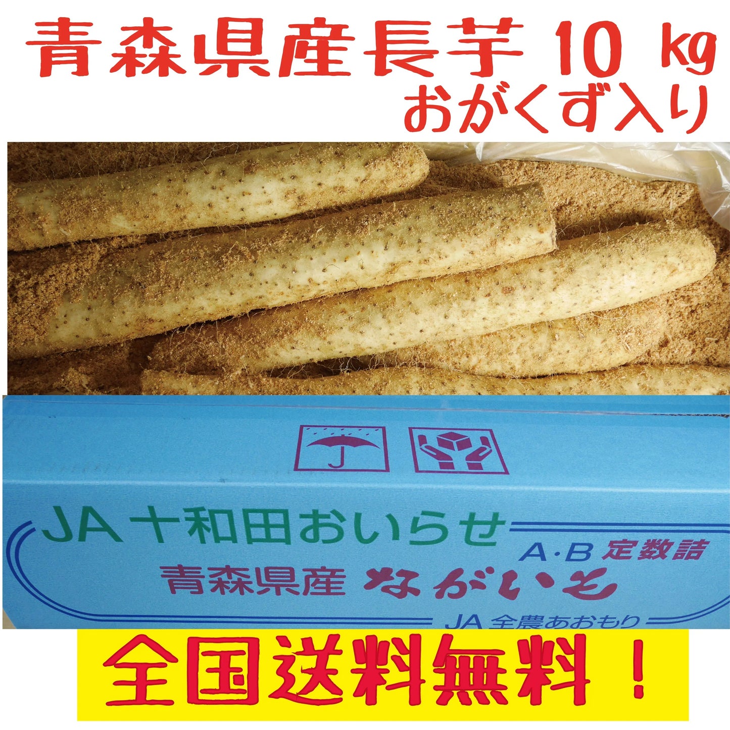 青森県産　長芋　　５ｋｇ　洗浄済み　ご家庭用　おがくず入り　送料無料！