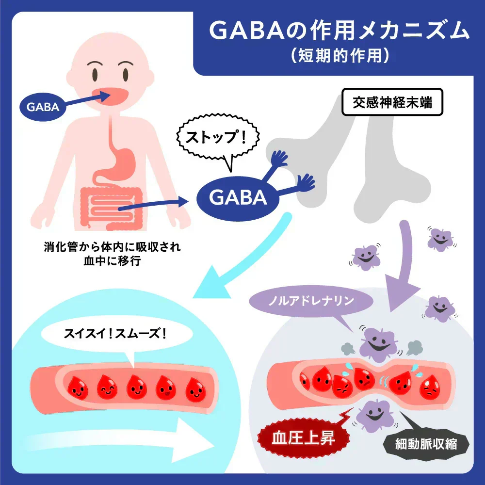 血圧 睡眠 ストレス GABA《約1ヶ月分》 機能性表示食品 GABA1粒100mg配合 テアニン トリプトファン グリシン