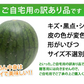 すいか 送料無料 訳あり 小玉すいか 2玉 約2～2.5kg スイカ 熊本すいか お取り寄せ すいか 西瓜 ひとりじめ 果物 フルーツ