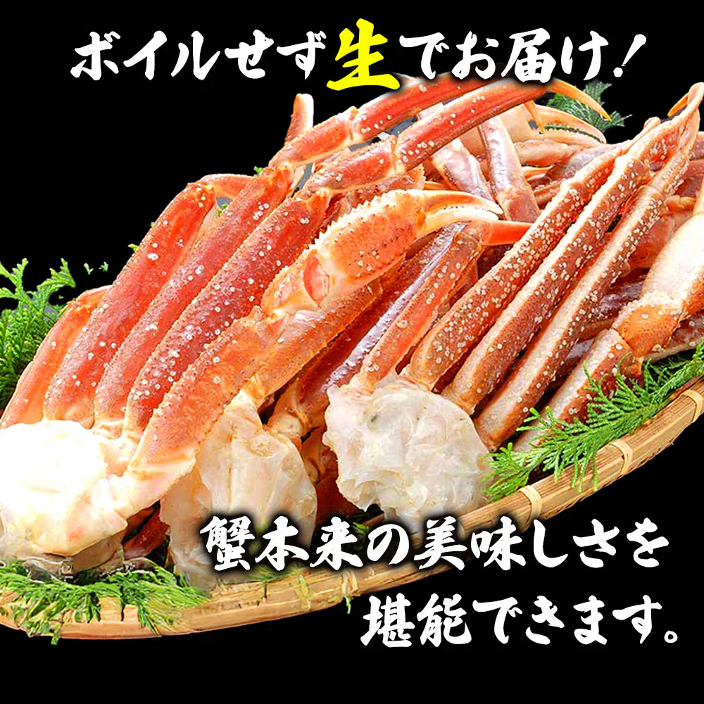 ズワイガニ　蟹 カニ 5L ずわい蟹 ボイルズワイ蟹 ズワイ肩付き脚 1.5kg 送料無料 かにつめ カニしゃぶ カニ鍋 お歳暮 ギフト shr-026