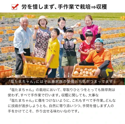 熊本県産 訳あり 塩たまちゃん 玉ねぎ たまねぎ 5kg 【5L-2Sサイズ不選別】 子出藤 (ねでふじ)さん 送料無料 塩タマネギ 新たまねぎ 塩玉ちゃん 塩玉 お取り寄せ お取り寄せグルメ《7-14営業日以内に出荷(土日祝除く)》