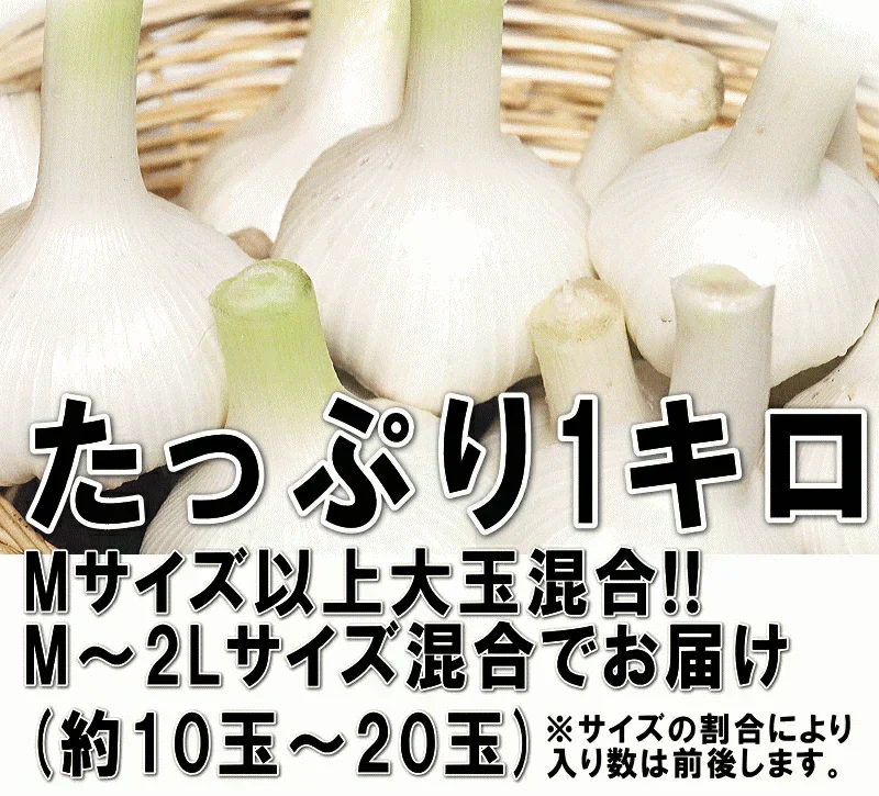 【予約販売 6月中旬以降発送】青森県産 幻の生にんにく 1kg【冷蔵便】 令和8年度産 Mサイズ以上L～2L混合