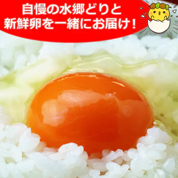 鶏肉専門店の朝引き朝どりセット　水郷どり１羽分 (もも肉2枚 胸肉2枚 ささみ2本) ＋放し飼い自然卵 (5個＋破損補償1個)