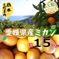 愛媛県産 みかん 大粒ちゃん 15kg 訳あり家庭用 柑橘