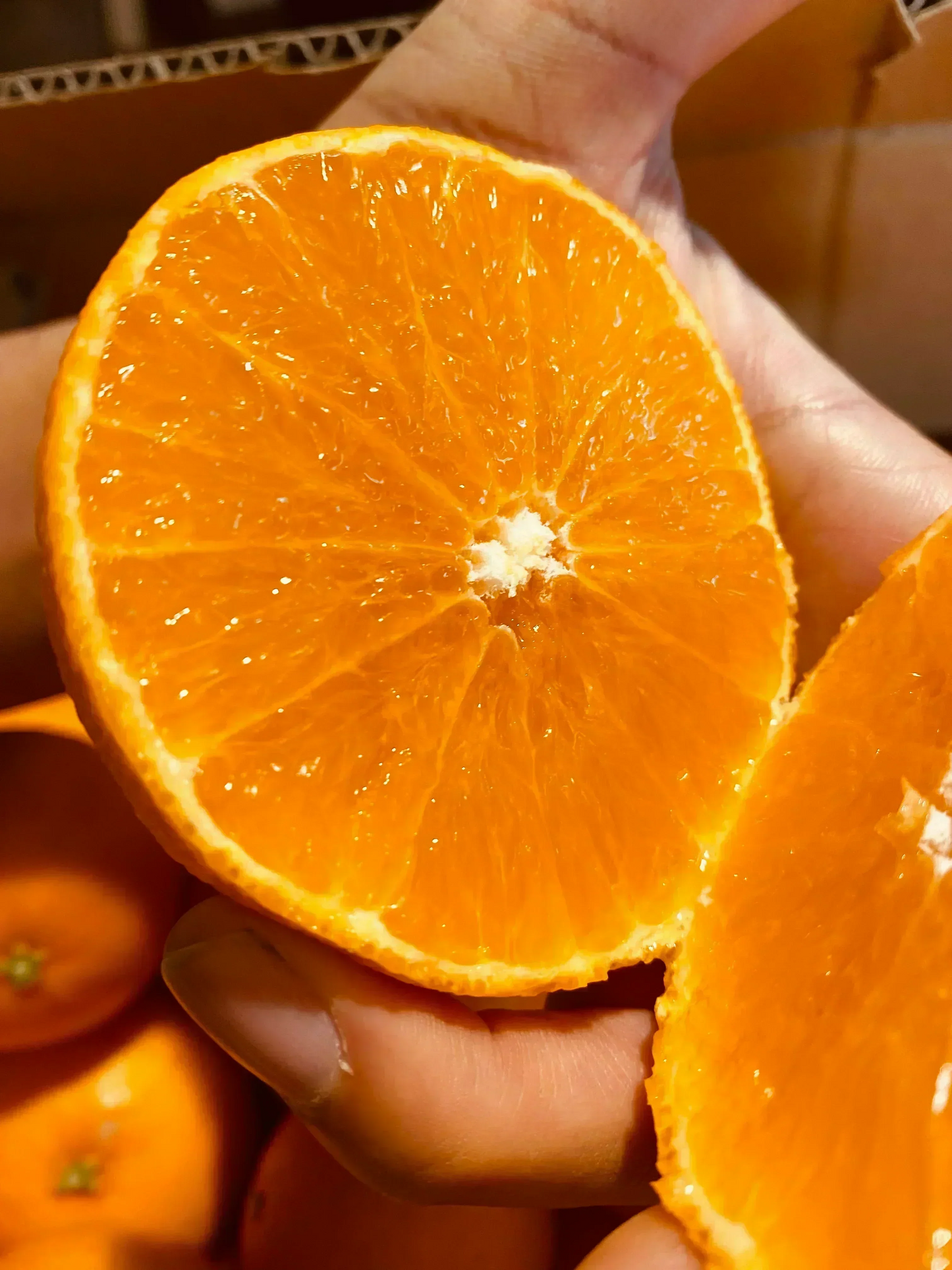 愛媛の高級柑橘　本場！愛媛のまどんな　ご自宅用　2ｋｇ(箱代込み）