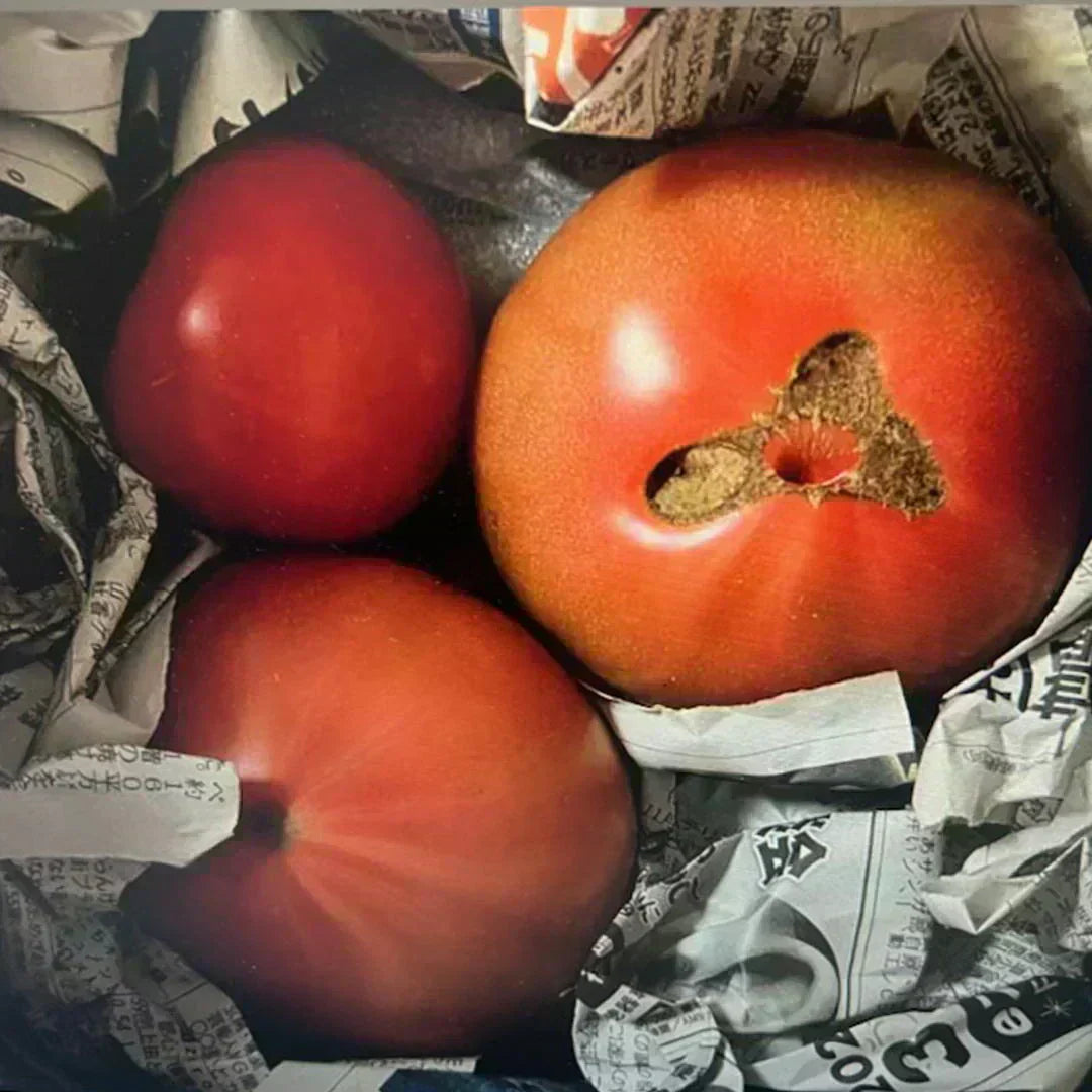 【予約販売/9月中旬〜10月中旬頃より順次発送開始予定】トマト 🍅700g 常温便配送 (トマト・ミディトマト・ミニトマトなど種類は出品者おまかせ) 60サイズ【北海道・東北・沖縄配送不可】【カウシェファーム収穫対象商品】