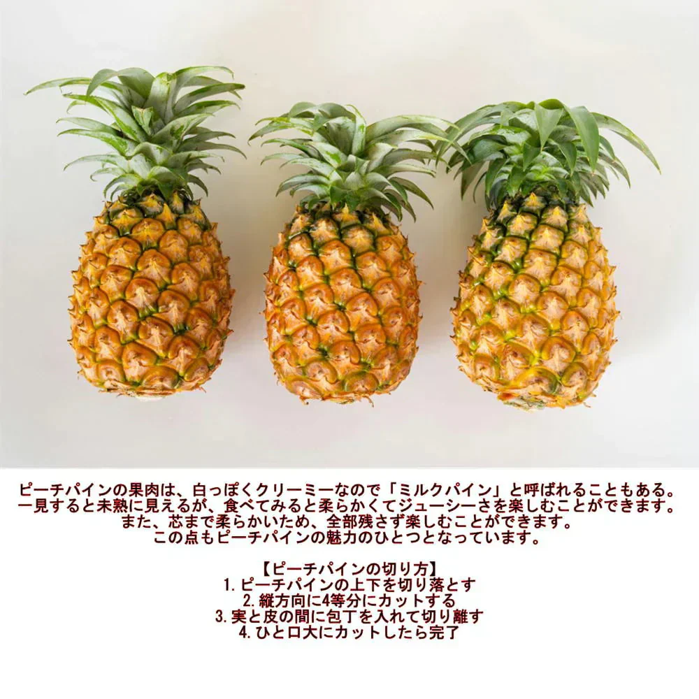 ピーチパイン　1.8ｋｇ（2〜5本）　西表島産　アララガマ農園　ソフトタッチ　ミルクパイン　パイナップル　パイン　60サイズ