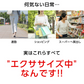 スタブリングアクティブ3個 歩行 エクササイズ 足指 歩行サポート 親指 ながらエクササイズ 簡単 ダイエット ラボネッツ 足圧分散 運動量アップ 簡単 はめるだけ