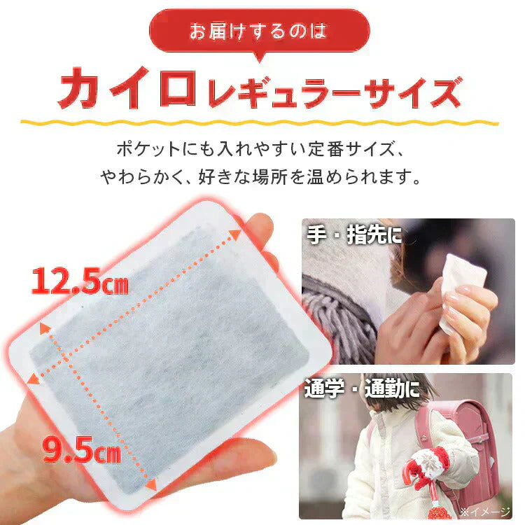 【カートアップNG】貼るカイロ レギュラー 240枚 30枚×8箱セットカイロ 貼る 貼るタイプ レギュラーサイズ 普通 使い捨て 備蓄 防寒 寒さ対策 まとめ買い アイリスプラザ