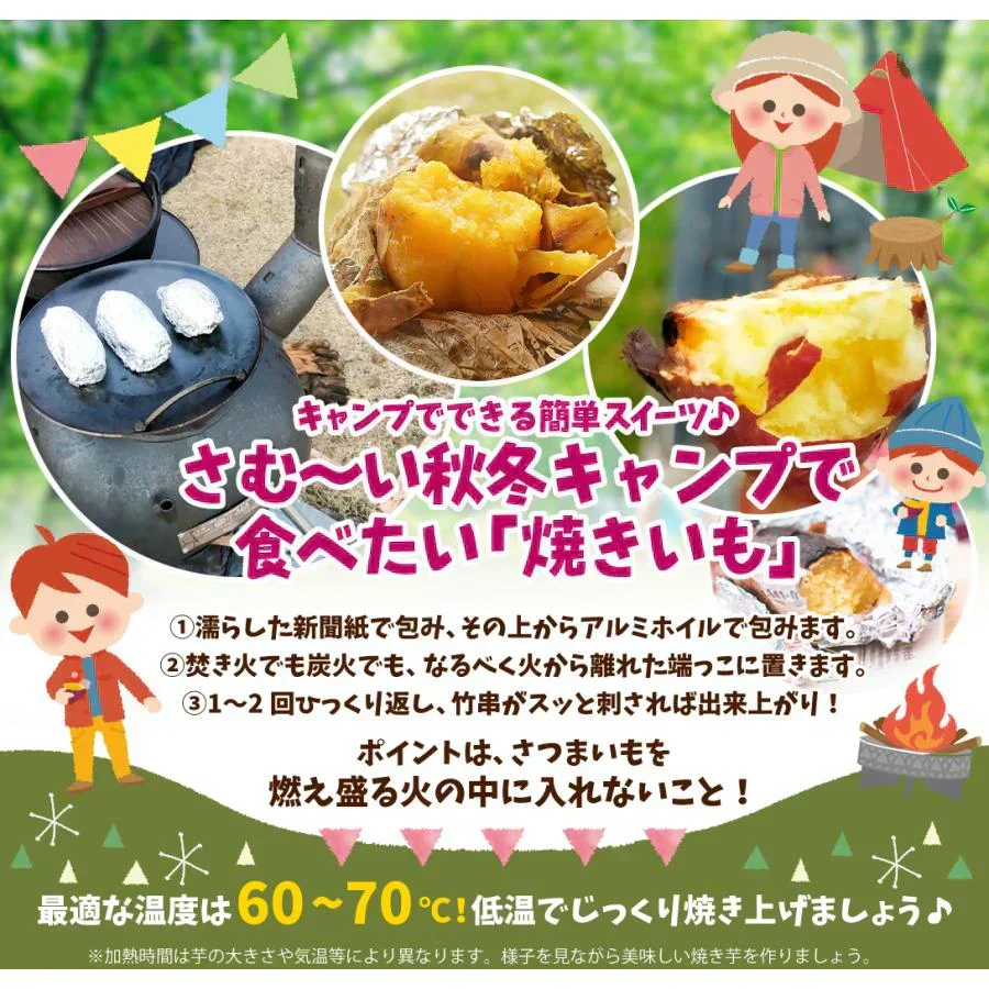 さつまいも 5kg 安納芋 正品 種子島産 送料無料 食品(発送予定:2026年11月中旬より)