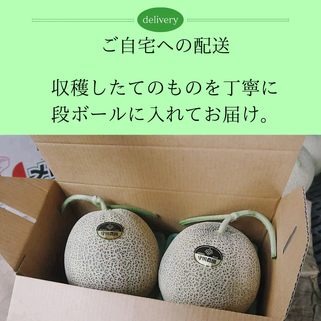 【訳あり】富良野産赤肉メロン　1玉1.6kg以上大玉　2玉入り