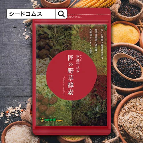 『ご購入の方10人に1人DHAサプリ1ヶ月分が当たる』匠の野草酵素《約3ヶ月分》  送料無料 サプリ サプリメント 酵素 野草酵素 健康  スーパーフード 健康食品 野菜不足 乳酸菌 ダイエット 美容 ビタミン ビタミンC【大容量】