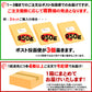 本場讃岐うどん 平打ち麺 10人前