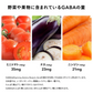 血圧 睡眠 ストレス GABA《約1ヶ月分》 機能性表示食品 GABA1粒100mg配合 テアニン トリプトファン グリシン