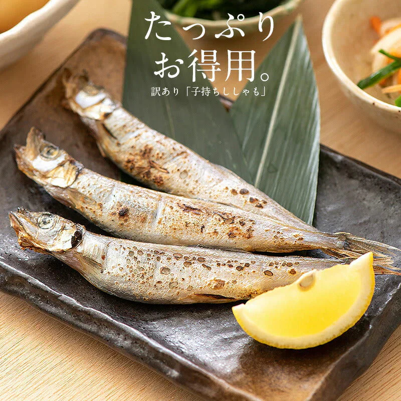 ししゃも シシャモ 子持ち 訳あり メス 1kg お徳用 1キロ 海産物 美味しい 冷凍 大量 魚 自宅用 子持ちししゃも まとめ買い 海鮮 食べ物 贈答用 グルメ 魚介 おかず おつまみ 酒のつまみ 酒の肴 贈り物 贈答 海鮮ギフトセット 母の日 プレゼント ギフト  母の日思いの 健康
