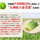 【熊本コレクション】朝摘み もぎたて 青汁 大麦若葉 送料無料 【たっぷり60包 タイプ180g(3g×60包) 】保存食