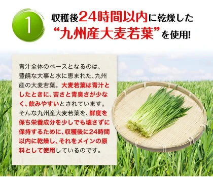 【熊本コレクション】朝摘み もぎたて 青汁 大麦若葉 送料無料 【たっぷり60包 タイプ180g(3g×60包) 】保存食