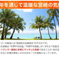 宮崎県産 完熟マンゴー マンゴー 2玉 化粧箱入り (Mサイズ:約240g～約309g) 送料無料 健康 ギフト プレゼント フルーツ 食べ物 贈答 旬の果物 贈答用