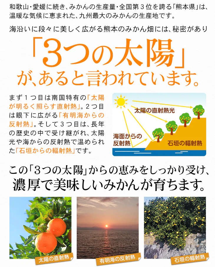 みかん　熊本産　おいしいみかん　5kg　サイズおまかせ　ご家庭用（発送予定：11月中旬より）