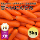 【有名飲食店やホテルも愛用】にんじん 3kg 農家 野菜 人参 ニンジン フルーツ 青果 市場 果物 フルーツ ギフト 食品 家庭用 贈答 料理