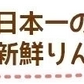 青森県産 訳あり 葉とらず ふじ × 王林 りんご 5kg(約14～18個)※11月下旬よりご予約順に発送【指定日不可】