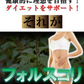 フォルスリム バイオブースター 【スリムサポートサプリメント L-カルニチン キトサン 乳酸菌 バイオペリン フォルスコリ ダイエット ダイエット サプリ コレウスフォルスコリ フォースコリー フォースリーン/Lカルニチン L-カルニチン ダイエットサプリメント フォルスコリ 効果 あり 強力 ヘルシーライフ