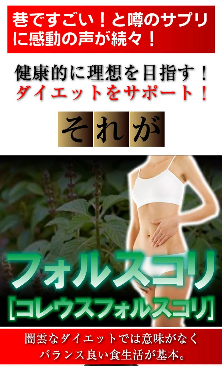 フォルスリム バイオブースター 【スリムサポートサプリメント L-カルニチン キトサン 乳酸菌 バイオペリン フォルスコリ ダイエット ダイエット サプリ コレウスフォルスコリ フォースコリー フォースリーン/Lカルニチン L-カルニチン ダイエットサプリメント フォルスコリ 効果 あり 強力 ヘルシーライフ