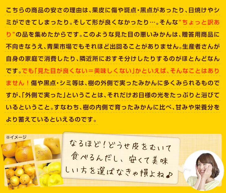 みかん　大分産　はるみ　1.5kg　ご家庭用（発送予定：2025年3月中旬より）