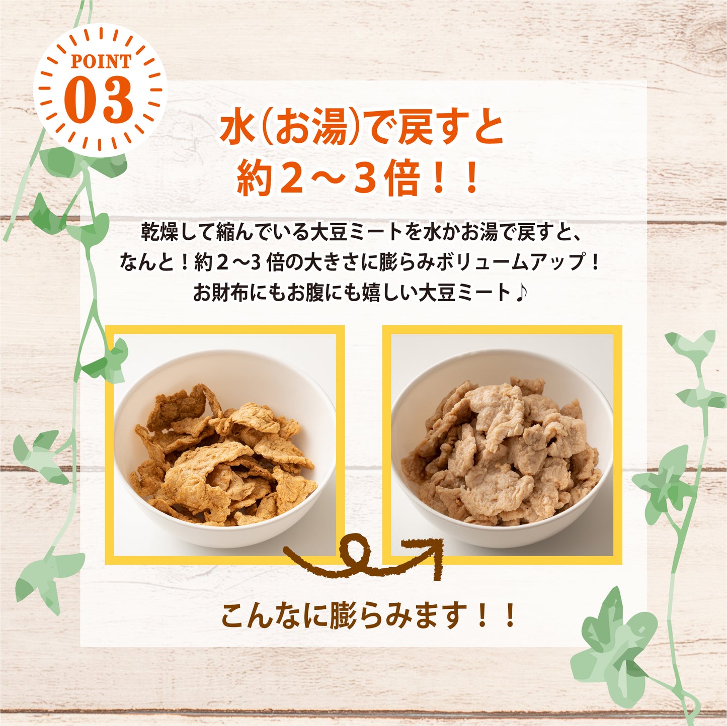 雑穀 雑穀米 国産 大豆ミート(フィレ) 500g(250g×2袋) 送料無料