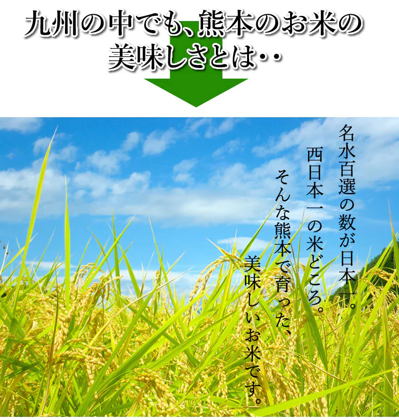 くまさんの輝き 米 10kg (5kg×2） 送料無料 令和5年産 熊本県産 お米 白米 玄米 コシヒカリ ヒノヒカリ 森のくまさん