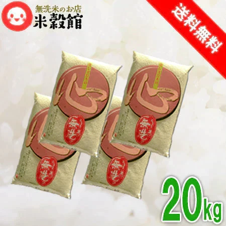 無洗米 心 こころ 20kg 5キロ×4個 令和7年産 九州産 とがなくていい むせんまい