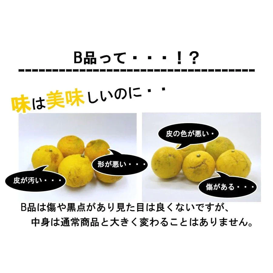 はるか みかん 訳あり 5kg 送料無料 ご家庭用 箱買い B品 サイズミックス 柑橘 フルーツ 産地直送 愛媛県産 YDF-005
