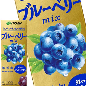 伊藤園 ブルーベリーミックス 200ml紙パック×48本［24本×2箱］［賞味期限：3ヶ月以上］北海道、沖縄、離島は送料無料対象外［送料無料］【3~4営業日以内に出荷】