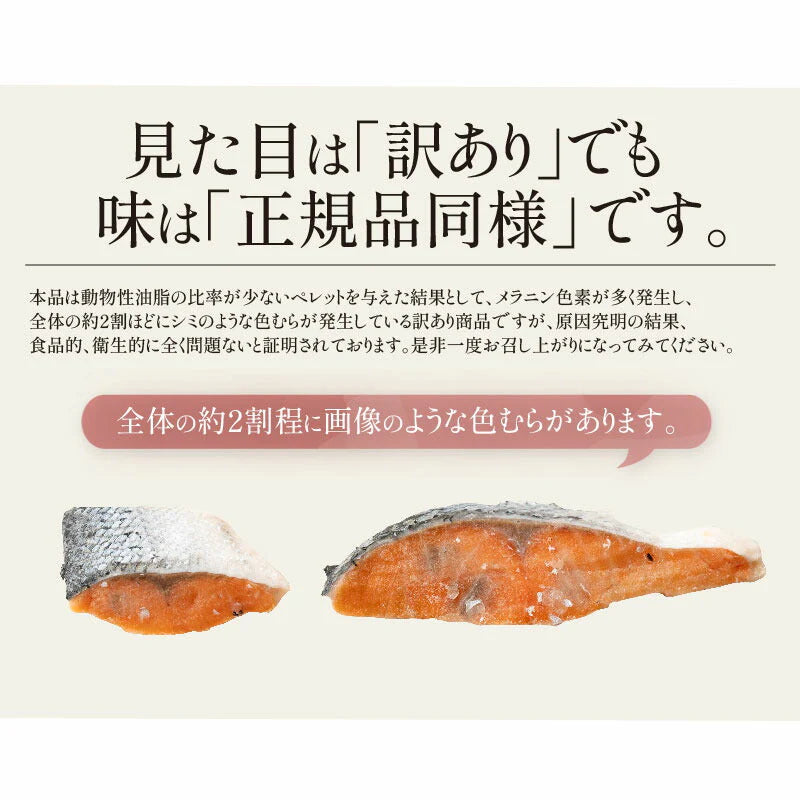 訳あり 鮭 切り身 1kg シミあり B級 お徳用 業務用 シミ 大容量 さけ 魚 さかな 冷凍 大量 お得 プレゼント ギフト ギフト ギフト プレゼント