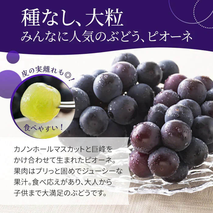 【9月上旬順次発送】送料無料 岡山産 ピオーネ 0.8-1キロ 2房入