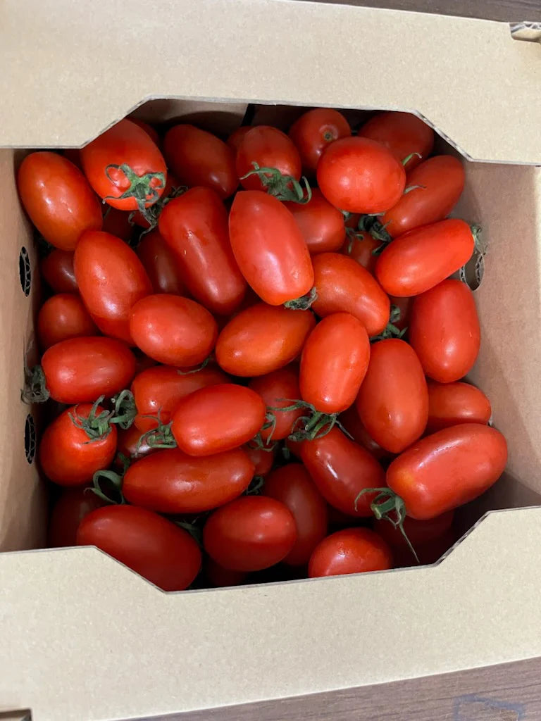 【予約販売/9月中旬〜10月中旬頃より順次発送開始予定】トマト 🍅700g 常温便配送 (トマト・ミディトマト・ミニトマトなど種類は出品者おまかせ) 60サイズ【北海道・東北・沖縄配送不可】【カウシェファーム収穫対象商品】