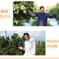 【10月上旬～中旬頃より順次出荷】みかん 10kg 熊本みかん 送料無料 秀品 2S〜L 熊本県産 極早生みかん お取り寄せ 蜜柑 ミカン