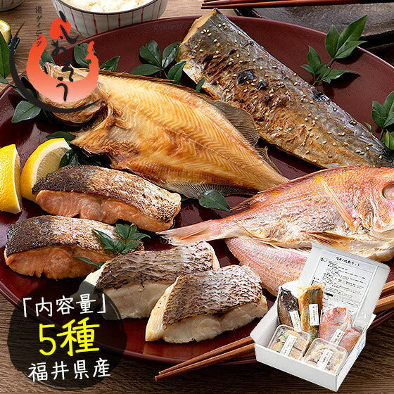 干物 漬け魚 おつまみ 福井の地魚 5種詰め合わせ 真鯛 鰆 サーモン 連子鯛 赤カレイ グルメ 詰め合せ 魚 セット 海鮮 干物セット 魚セット 一夜干し お取り寄せグルメ つまみ 贈答品 海鮮ギフトセット ご飯のおかず おいしい 美味しい 絶品 海鮮セット 母の日 プレゼント