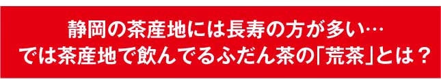 【2個セット】日本橋いなば園 静岡深蒸し茶 荒茶づくり 100g ネコポス メール便送料無料