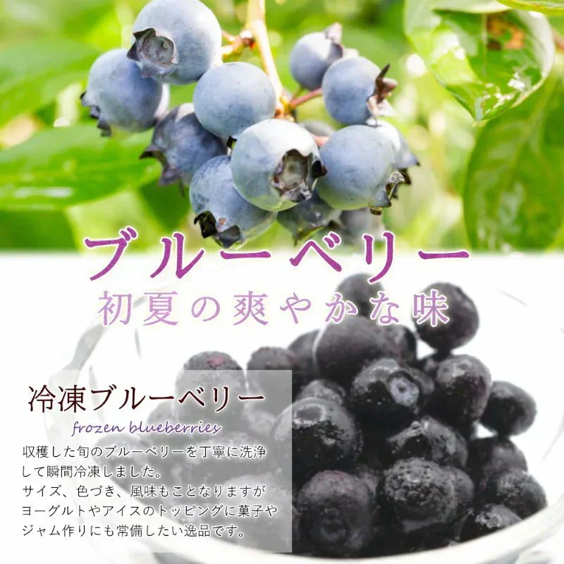 2種ベリーアイスセット まるごと苺アイス10粒＆冷凍ブルーベリー（100g）4カップ詰合せ　化粧箱 ギフト 冷凍 国産 いちご イチゴ ストロベリー  ベリー 冷凍果実 フルーツ アイス あいす