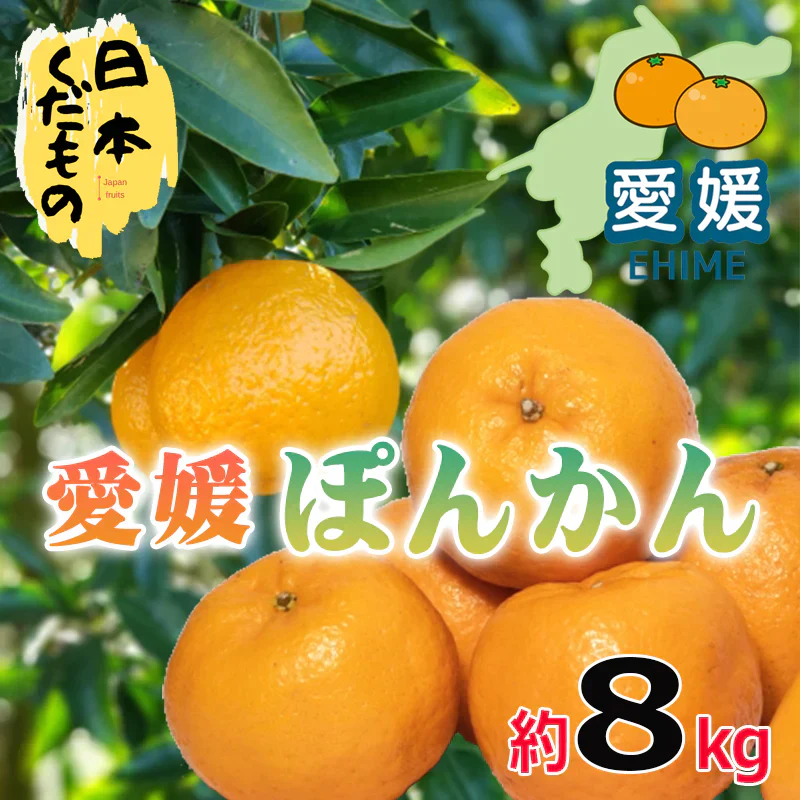 愛媛県産 ポンカン 8kg 訳あり家庭用 柑橘